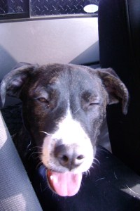 Am I a productive being?