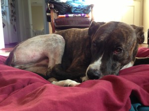 Post-surgical pity face