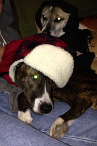 80 inches of snow? Bring it.