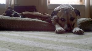 Break time for my buddy and me