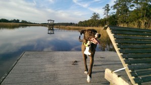 Look how stinking happy I am!